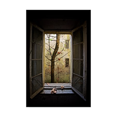 Marco Tagliarino 'Autumn In Asylum' Canvas Art,30x47